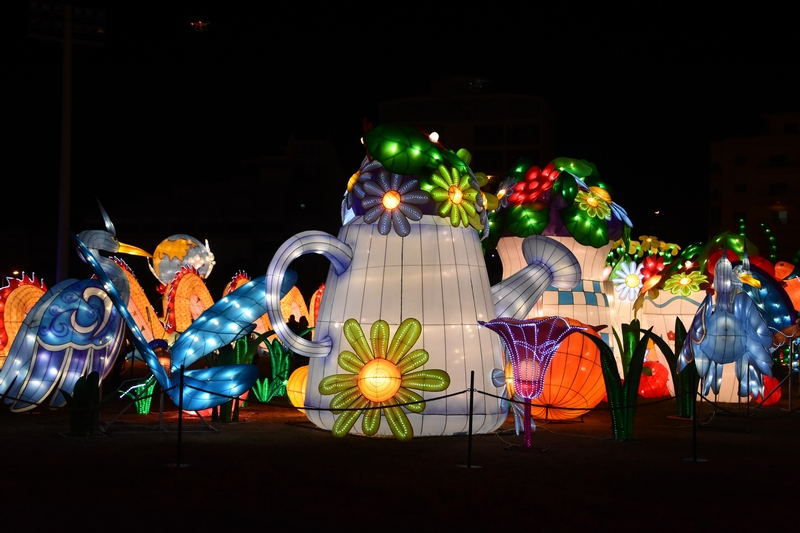 WONDERLAND A magical city of lights